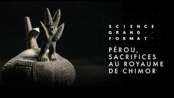 Pérou, sacrifices au royaume de Chimor