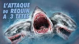 L'attaque du requin à trois têtes