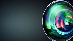 Le grand show de la nature