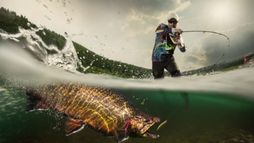 La Pêche miraculeuse