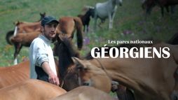 Les parcs nationaux géorgiens