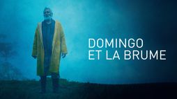 Domingo et la brume