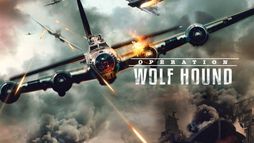 Opération Wolf Hound