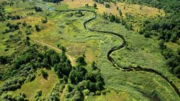 Au coeur de l'écosystème des Everglades