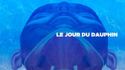 Le jour du dauphin