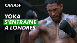 Tony Yoka, nouveau départ - Boxe