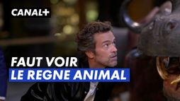 "Faut voir !" - Le Règne animal