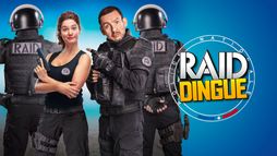 Raid dingue