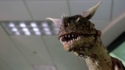 Age of Dinosaurs