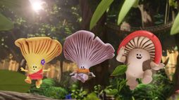 Mush-Mush & les Champotes - Saison 2