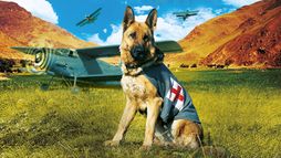 Rintintin