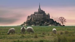 La guerre des moutons