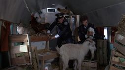 Police Academy 5 : débarquement à Miami Beach - Trailer