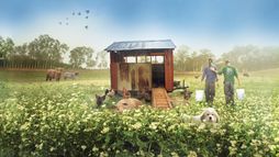 Tout est possible (The Biggest Little Farm) - Trailer
