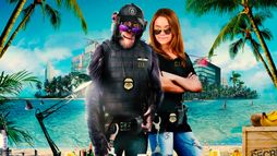 C.I.Ape - Trailer