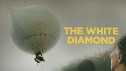 The White Diamond