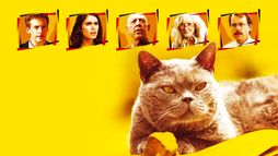 Qui a tué le chat ? - Trailer