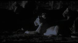 Un jour sur terre - Trailer