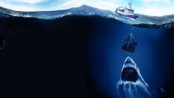 Open Water 3 : Les abîmes de la terreur - Trailer