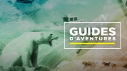 Guides d aventures