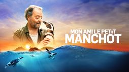 Mon ami le petit manchot