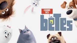 Comme des bêtes
