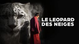 Le Léopard des neiges