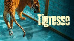 Tigresse