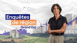 Enquêtes de Région - Grand Est