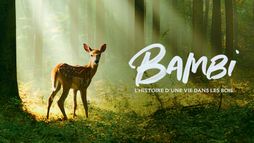 Bambi, l'histoire d'une vie dans les bois