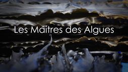 Les maîtres des algues