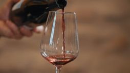 Les sommeliers, la mémoire du goût