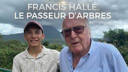 Francis Hallé, le passeur d'arbres