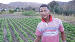 Rooibos, le thé rouge d'Afrique