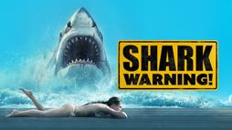 Shark Warning !