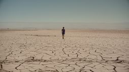 Estrellas del desierto