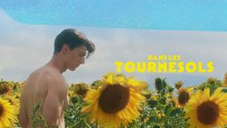 Dans les tournesols
