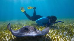 L'homme et la nature, une nouvelle alliance