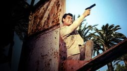 Le gentleman de Cocody