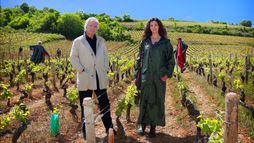 Le Sang de la vigne - Season 3 - Trailer