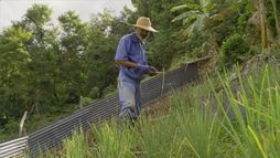 La terre en héritage