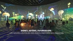 Disney, Astérix, Futuroscope : les nouvelles folies des parcs préférés des Français