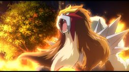 Pokémon 13 : Zoroark, le maître des illusions