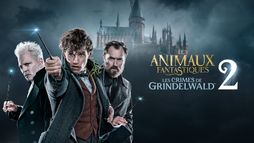 Les animaux fantastiques : les crimes de Grindelwald