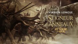 Le Seigneur des anneaux : Le retour du roi (version longue)