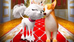 Les chiens à l'Opéra - Trailer