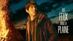 Des feux dans la plaine