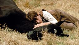 Black Beauty - Trailer