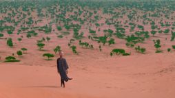 The Great Green Wall - Trailer