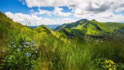 Le Massif central, poumon vert de la France
